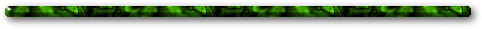 bar.gif (4413 bytes)