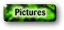 pictures.gif (3135 bytes)